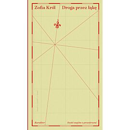 Droga przez łąkę