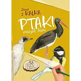 Ptaki naszych lasów. Zeszyt z kalką