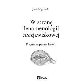 W stronę fenomenologii niezjawiskowej. Fragmenty pewnej historii