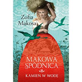 Kamień w wodę (e-book)