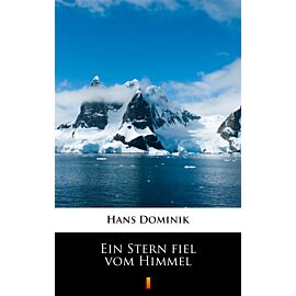 Ein Stern fiel vom Himmel (e-book)