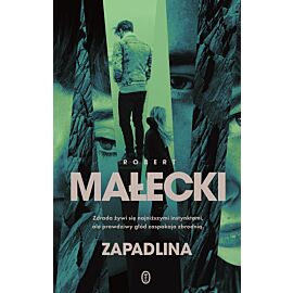 Zapadlina (e-book)
