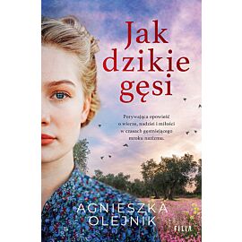 Jak dzikie gęsi