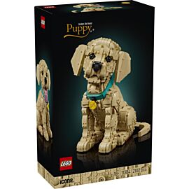 LEGO Icons Szczeniak Golden Retriever V29 11384