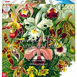 Puzzle 1000 Imagination Ernst Haeckel Orchidea