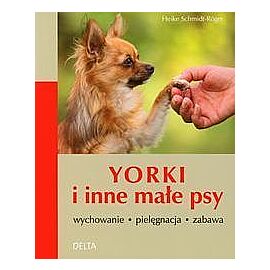 Yorki i inne małe psy