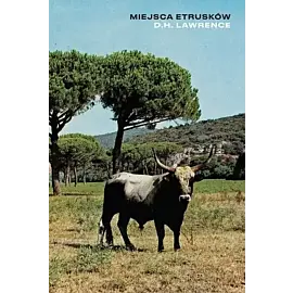 Miejsca etrusków