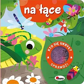 Kto się ukrył na łące z klapkami sensoryczna
