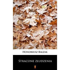 Stracone złudzenia (e-book)