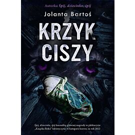 Krzyk ciszy