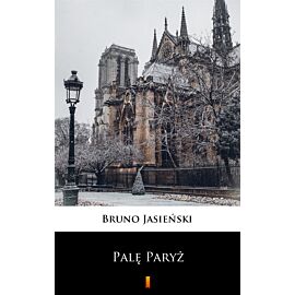 Palę Paryż (e-book)