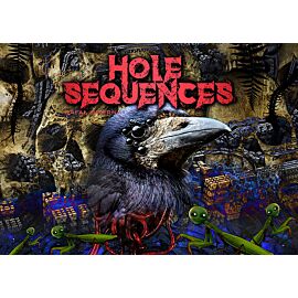 Hole Sequences