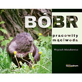 Bóbr pracowity mąciwoda