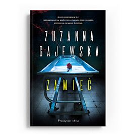 Zamieć (e-book)