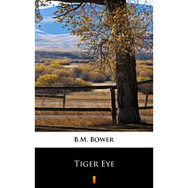 Tiger Eye (e-book)