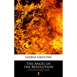 The Angel of the Revolution (e-book)
