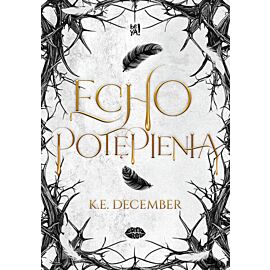 Echo potępienia (e-book)