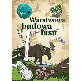 Warstwowa budowa lasu. Kolorowanka