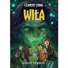 Czarny Staw. Wiła