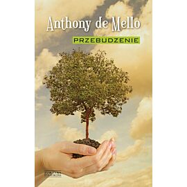 Przebudzenie (e-book)