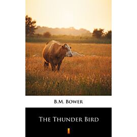 The Thunder Bird (e-book)