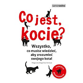 Co jest, kocie? Wszystko, co musisz wiedzieć, aby zrozumieć swojego kota