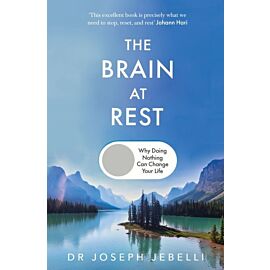 The Brain at Rest wer. angielska