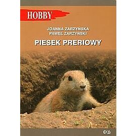 Piesek preriowy