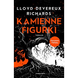 Kamienne figurki (e-book)