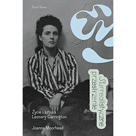 Surrealistyczne przestrzenie (e-book)