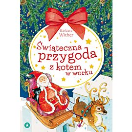 Świąteczna przygoda z kotem w worku