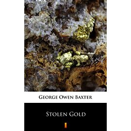 Stolen Gold (e-book)
