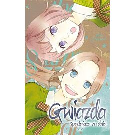 Gwiazda spadająca za dnia - 08