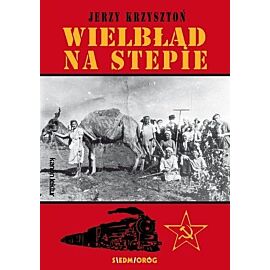 Wielbłąd na stepie