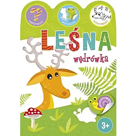 Leśna wędrówka. Zgadywanki, wyklejanki, kolorowanki