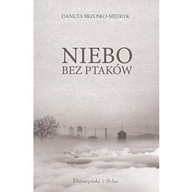 Niebo bez ptaków (e-book)