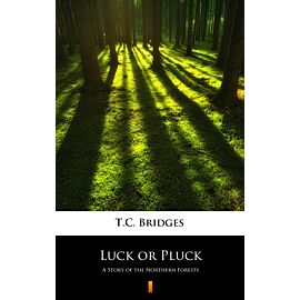 Luck or Pluck (e-book)