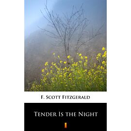 Tender Is the Night (e-book)