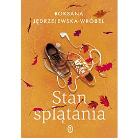 Stan splątania (e-book)