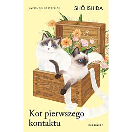 Kot pierwszego kontaktu