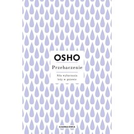 Przebaczenie (e-book)