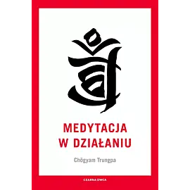 Medytacja w działaniu