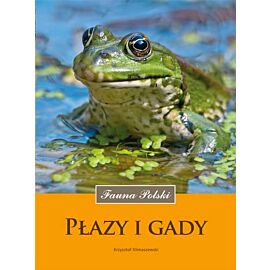 Płazy i gady