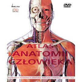 Atlas anatomii człowieka