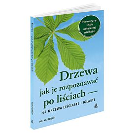Drzewa - jak je rozpoznawać po liściach