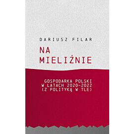 Na mieliźnie. Gospodarka Polski w latach 2020-2022 (z polityką w tle)