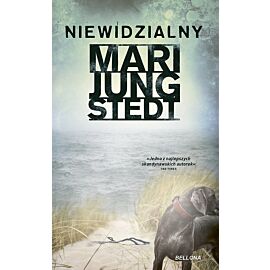 Niewidzialny