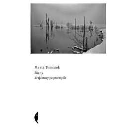Blizny (e-book)
