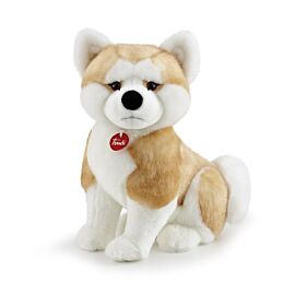 Akita Ascanio klasyczny L