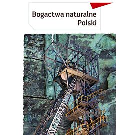 Bogactwa naturalne polski